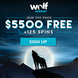 Wolf Winner Online Casino