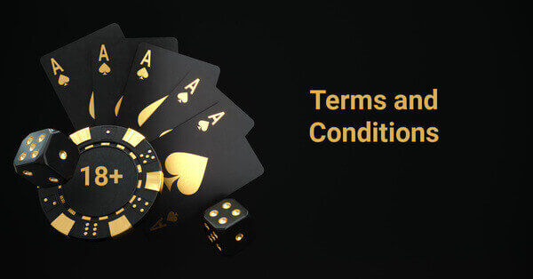Terms and Conditions