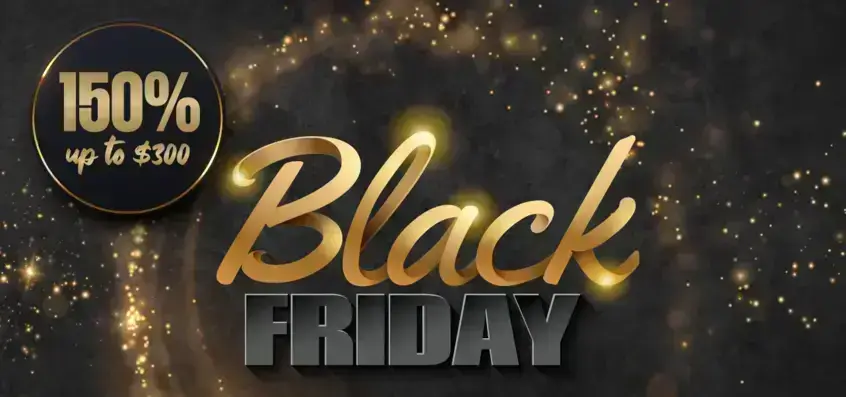 Black Friday Promotion