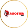 Rooster Bet Casino Review 2024