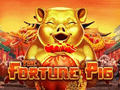 fortune pig slot game