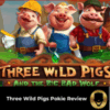 Three Wild Pigs Pokie Review