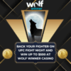 UFC Fight Night Promotion at Wolf Winner Casino
