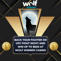 UFC Fight Night Promotion at Wolf Winner Casino